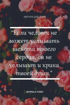 25 мотивирующих цитат, которые вдохновляют на перемены в жизни - Чемпионат