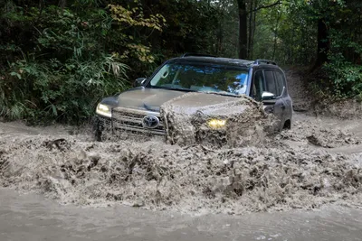 Купить Тойота Ленд Крузер 300 у официального дилера, новый кроссовер Toyota  Land Cruiser 300 в Челябинске