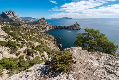 Царский пляж, Крым (Новый Свет). Отели рядом, фото, видео, карта, где  находится и как добраться – Туристер.Ру