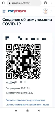 Россиянам на «Госуслугах» выдают «сломанные» QR-коды. Скрин