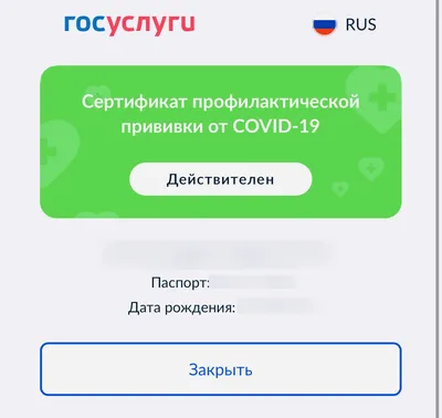 Со смартфоном и паспортом: как в Псковской области будут проверять QR-коды