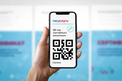 Неофициально переболевшие коронавирусом нижегородцы смогут получить QR-код  | Информационное агентство «Время Н»