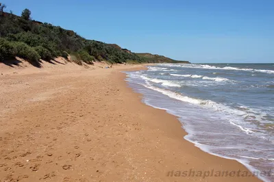 Сдаю дом на улице Таманской в поселке Кучугурах в районе Темрюкском 25.0 м²  на участке 16.0 сот этажей 1 2000 руб база Олан ру объявление 83653838