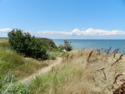 Пляжи в Кучугурах и окрестностях посёлка, Азовское море