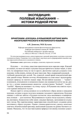 Синяя кукушка для голубей с имитацией Королевского Фишера, красно-белого  клюва, птицы, модель животного, украшение, 9 стилей, птицы на выбор |  AliExpress