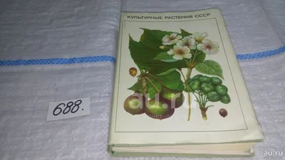 Купить Карта \"Важнейшие культурные растения и их родина\", масштаб 1:25 000  000, размер 950*1440 мм: в Алмате, Астане • Цена на Офис Эксперт - oe.kz