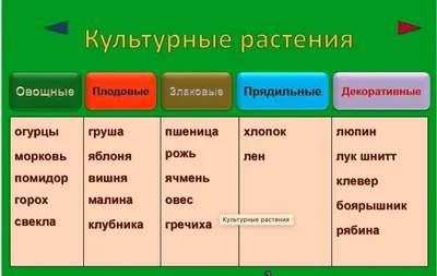 Гербарий «Культурные растения» (арт. gdb0003). Купить по низкой цене.  Доставка по России — «РиалТорг-Детям»