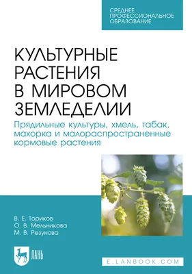 Итоги викторины «Дикие и культурные растения»