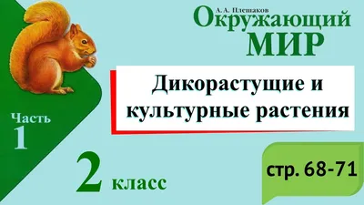 Гербарий Культурные растения (28 видов) (id 55230898), купить в Казахстане,  цена на Satu.kz