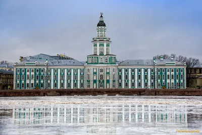 Не для слабонервных: экспозиция кунсткамеры в Санкт-Петербурге - Телеканал  «Моя Планета»