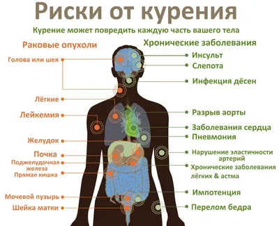 Комплексный подход: как облегчить отказ от курения - РБК Новая Экономика