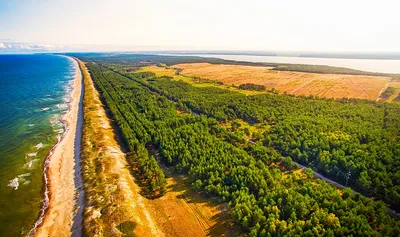 Куршская коса: что посмотреть и где остановиться