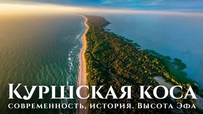 Автобусная экскурсия в Куршскую косу: 🗓 расписание, ₽ цены, купить 🎟  билеты онлайн