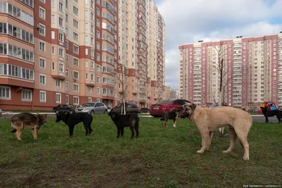 Как живут приграничный Курск и его жители. Репортаж РБК — РБК