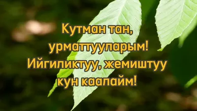 Кутман тан #ишинизге ийгилик,, | TikTok