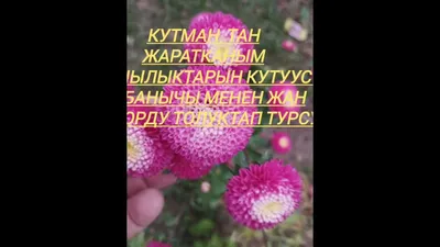 КУТМАН ТАН - YouTube