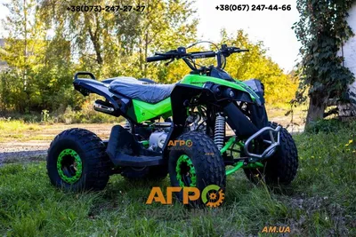 Квадроцикл STELS ATV 650YL EFI LEOPARD купить выгодно