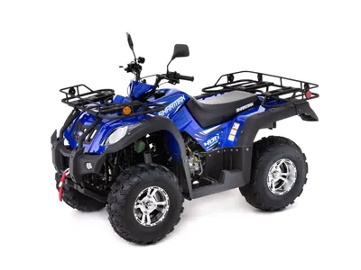 Детский квадроцикл RiverToys K111KK 4WD (зеленый): купить в Минске и  Беларуси в интернет-магазине. Цена, фото.