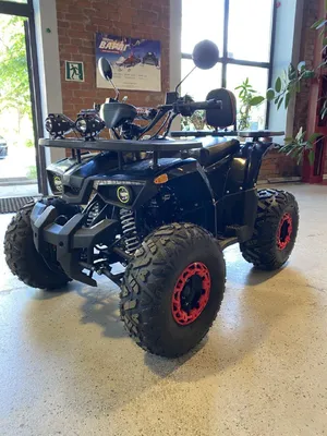 Квадроцикл ATV Мини Барс 800 RC Флэш - цена 31 500 руб, купить  электроквадроциклы в Москве в интернет-магазине