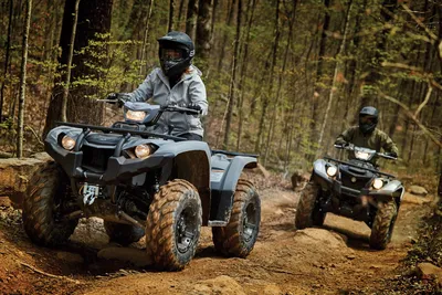 Квадроцикл Motoland ATV 125S