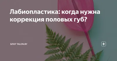 Лабиопластика: когда нужна коррекция половых губ? | Блог Talon.by | Дзен