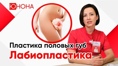 Лабиопластика в Минске, цена пластики половых губ