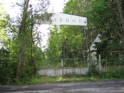 Фоторепортаж «Всесоюзный пионерский лагерь «Орленок». По волнам моей  памяти». Часть 4 (20 фото). Воспитателям детских садов, школьным учителям и  педагогам - Маам.ру