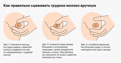 Лактостаз лечение консультация в медицинском центре ID-CLINIC  Санкт-Петербург