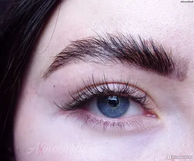 Salon Brow Artist. Ламинирование бровей — Raevska Style