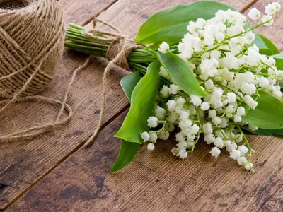 Ландыши в керамическом кашпо - заказать доставку цветов в Москве от Leto  Flowers