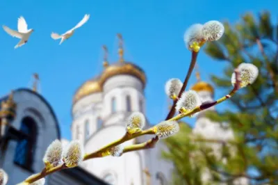 New Martyrs of Russia Orthodox Church - 11 апреля. Лазарева суббота. Дата  праздника уникальна для каждого года. В 2020 году эта дата — 11 апреля. Лазарева  суббота у православных христиан — это