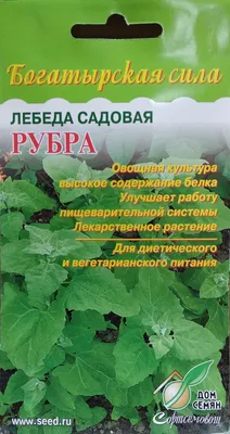 Лебеда - перспективное лекарственное растение – тема научной статьи по  фундаментальной медицине читайте бесплатно текст научно-исследовательской  работы в электронной библиотеке КиберЛенинка