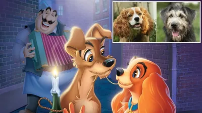 Disney презентовала трейлер ремейка мультфильма «Леди и Бродяга»