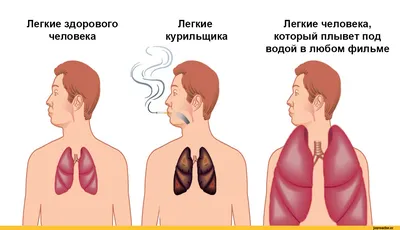 АСПЕКТ МЕДИКС – Сердце и легкие: какая связь?