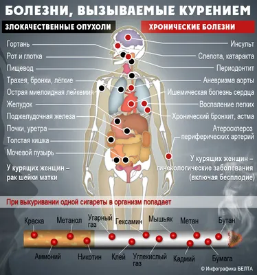 Отличаются ли легкие курильщика от легких здорового человека? | Ангелина  Царёва | Дзен