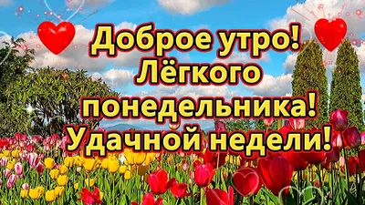 Открытки и картинки с понедельником прикольные