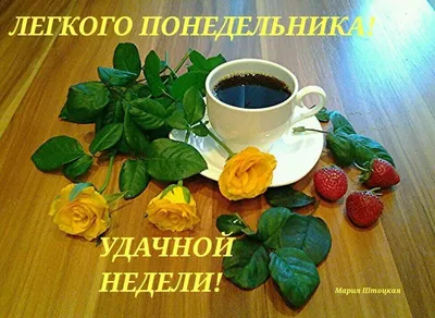 ДОБРОЕ УТРО ДРУЗЬЯ МОИ, ЛЁГКОГО ПОНЕДЕЛЬНИКА #УТРО #ОСЕНЬ #🌞🌞🌞☕☕🍬❤... |  TikTok