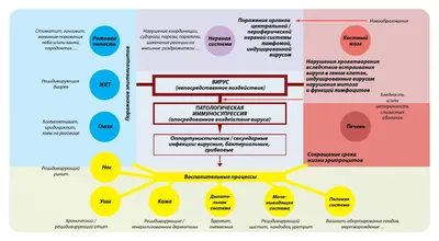 Инфоцентр Детский Лейкоз - Симптом: синяки и петехии Как часто возникает?  Почти в половине случаев (около 48%). Как проявляется? Петехии - это  точечные подкожные кровоизлияния. Выглядят они как красная сыпь из множества