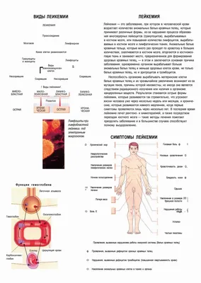 Лейкемия - рак крови
