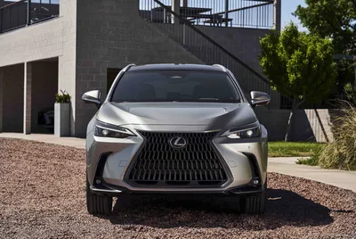 Home / Discover the Global World of Lexus