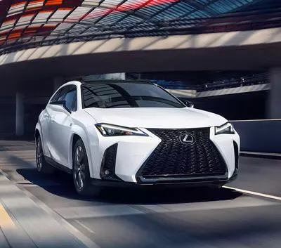 Home / Discover the Global World of Lexus