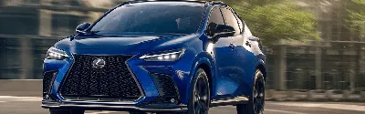 New 2024 Lexus NX 350h Luxury 4D Sport Utility in Newport Beach #00N60909 |  Newport Lexus