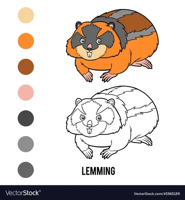 Lemming small rodent as animal of north Royalty Free Vector