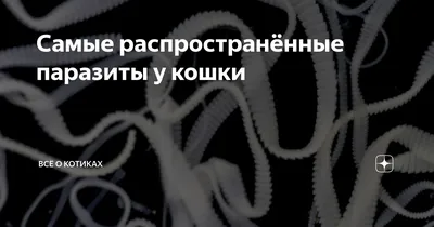 Шаг в сторону - и сразу \"вляпаешься\"! - Авторские статьи - Каталог -  Рекламный Дзержинск