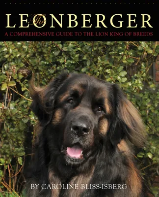 Leonberger dog big hi-res stock photography and images - Alamy