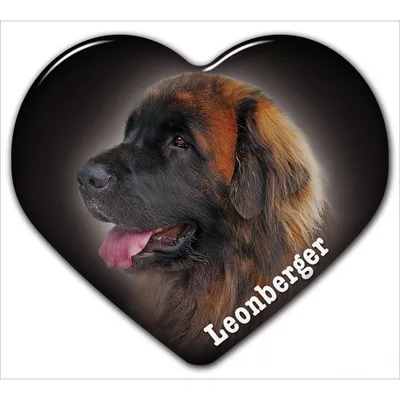 Leonberger - Hundemagazin.info