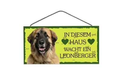 Pfronten-Schmuck | Animal Sign Leonberger 3 pcs | purchase online