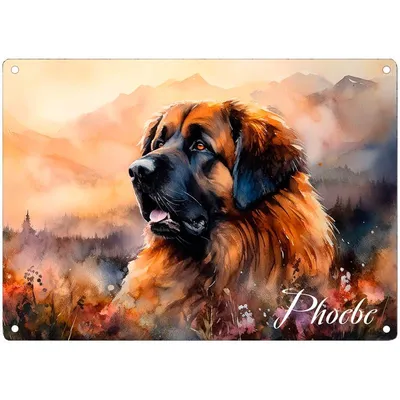 Leonberger vom Holzland | Bissingen