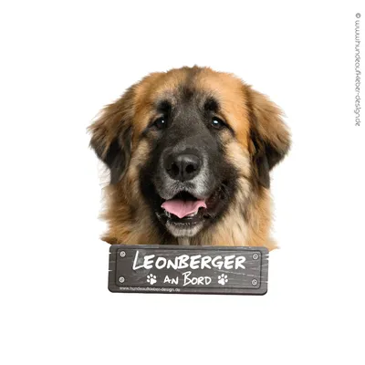 Hundeaufkleber Shop | Leonberger an Bord Autoaufkleber