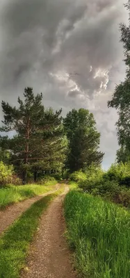 Летние поделки\" (2 часть). Поделка с улием, берёзкой, яблоками и  подсолнухом. Шаблоны для поделок на тему лето, летние аппликации для  распечатки. - Мой знайка